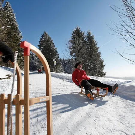 15 - Ferienresidenz Roseneck, Galeriewohnung, Mit Schwimmbad In Bei Feldberg