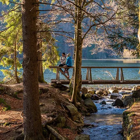 Apartament 15 - Ferienresidenz Roseneck, Galeriewohnung, Mit Schwimmbad In Bei Feldberg *