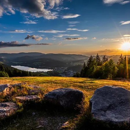 Apartament 15 - Ferienresidenz Roseneck, Galeriewohnung, Mit Schwimmbad In Bei Feldberg