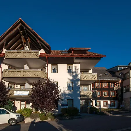 Apartment 15 - Ferienresidenz Roseneck, Galeriewohnung, Mit Schwimmbad In Bei Feldberg *