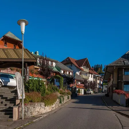 15 - Ferienresidenz Roseneck, Galeriewohnung, Mit Schwimmbad In Bei Feldberg Todtnauberg