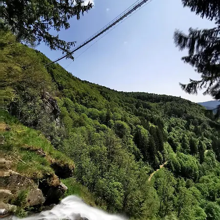 15 - Ferienresidenz Roseneck, Galeriewohnung, Mit Schwimmbad In Bei Feldberg Todtnauberg